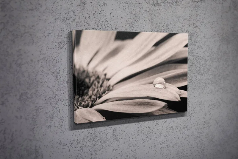 Dekorativ Canvasbillede 30x40 cm - Flerfarvet - Boligtilbehør - Billeder & kunst - Billeder på lærred