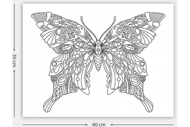 Dekorativ Canvasbillede 30x40 cm - Hvid|Sort - Boligtilbehør - Billeder & kunst - Billeder på lærred