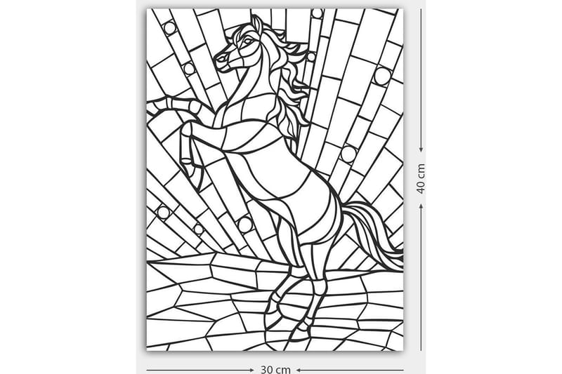 Dekorativ Canvasbillede 30x40 cm - Hvid|Sort - Boligtilbehør - Billeder & kunst - Billeder på lærred