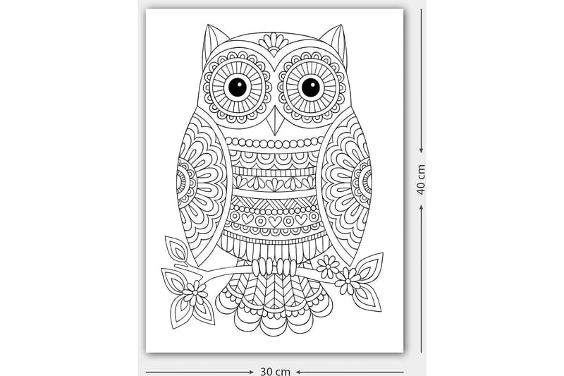 Dekorativ Canvasbillede 30x40 cm - Hvid|Sort - Boligtilbehør - Billeder & kunst - Billeder på lærred