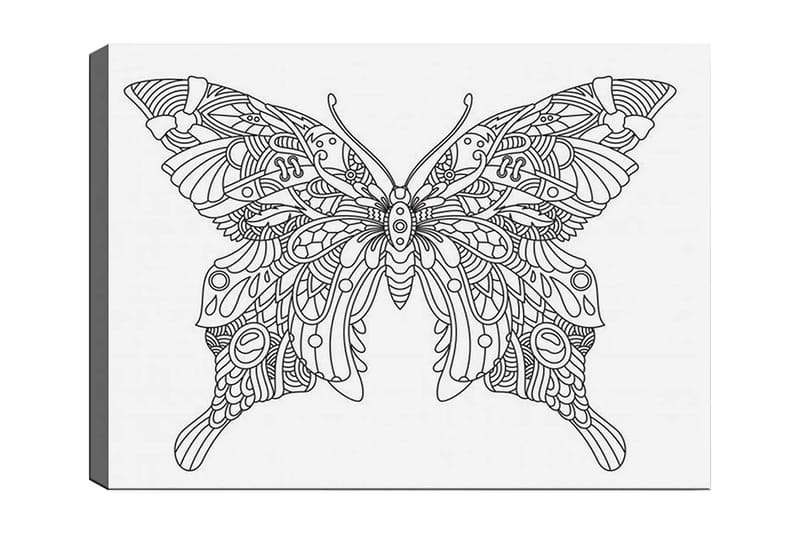 Dekorativ Canvasbillede 30x40 cm, Hvid|Sort