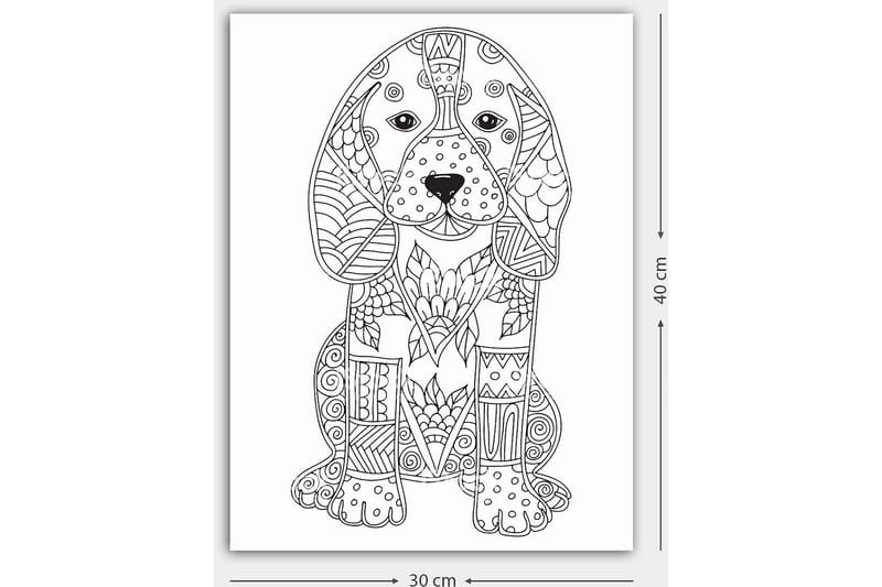 Dekorativ Canvasbillede 30x40 cm - Hvid|Sort - Boligtilbehør - Billeder & kunst - Billeder på lærred