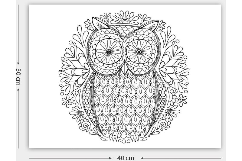 Dekorativ Canvasbillede 30x40 cm - Hvid|Sort - Boligtilbehør - Billeder & kunst - Billeder på lærred