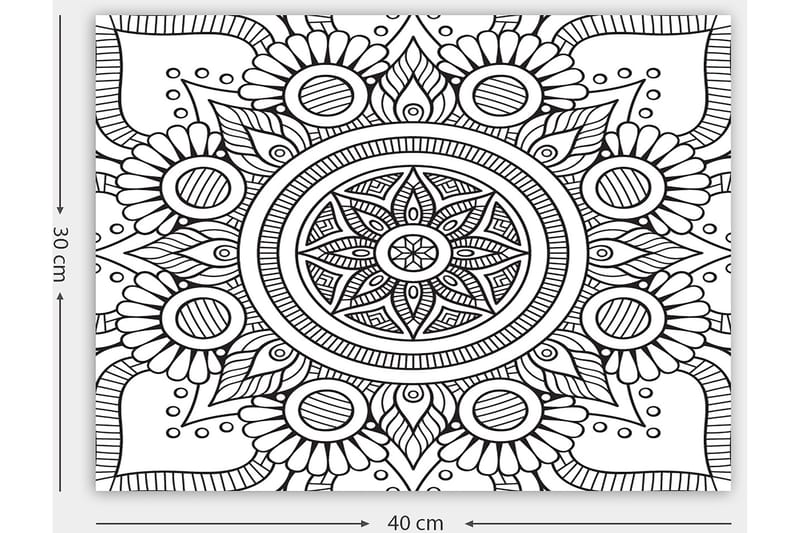 Dekorativ Canvasbillede 30x40 cm - Hvid|Sort - Boligtilbehør - Billeder & kunst - Billeder på lærred