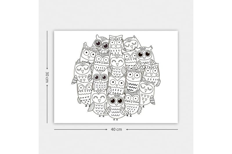 Dekorativ Canvasbillede 30x40 cm - Hvid|Sort - Boligtilbehør - Billeder & kunst - Billeder på lærred