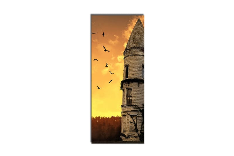 Dekorativ Canvasbillede 30x70 cm - Flerfarvet - Boligtilbehør - Billeder & kunst - Billeder på lærred