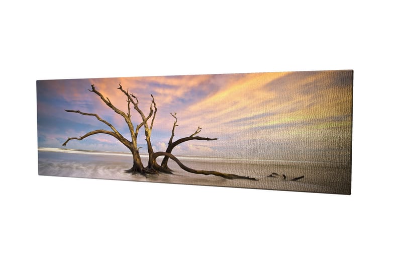 Dekorativ Canvasbillede 30x80 cm - Flerfarvet - Boligtilbehør - Billeder & kunst - Billeder på lærred
