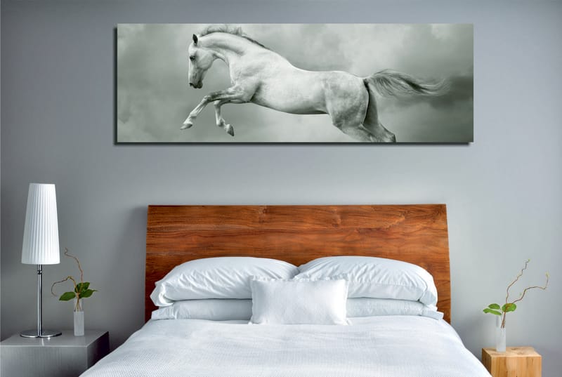 Dekorativ Canvasbillede 30x80 cm - Flerfarvet - Boligtilbehør - Billeder & kunst - Billeder på lærred