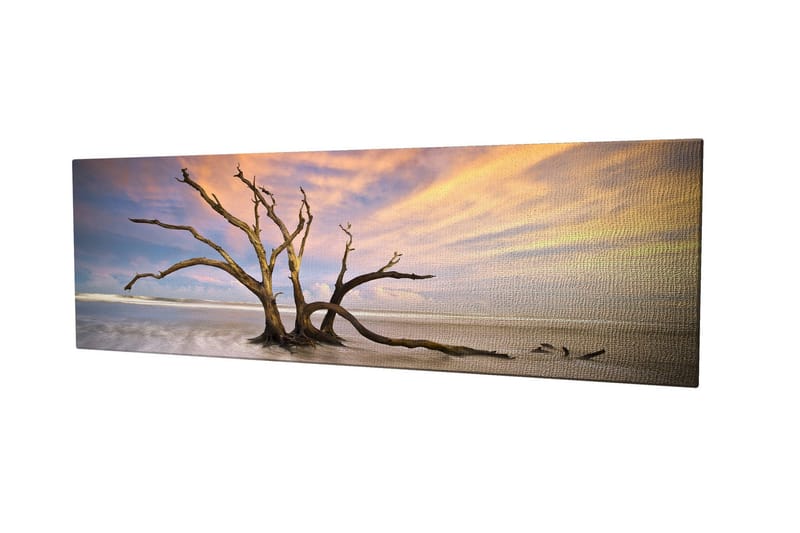 Dekorativ Canvasbillede 30x80 cm, Flerfarvet