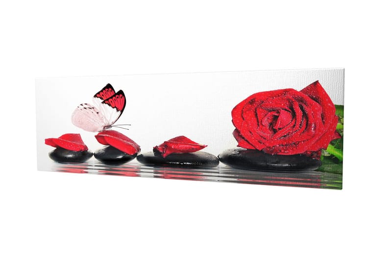 Dekorativ Canvasbillede 30x80 cm, Flerfarvet