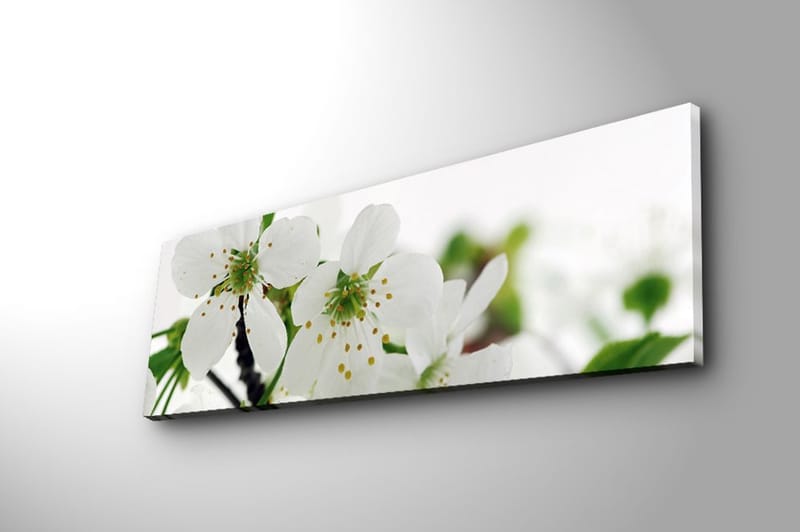 Dekorativ Canvasbillede 30x90 cm - Flerfarvet - Boligtilbehør - Billeder & kunst - Billeder på lærred