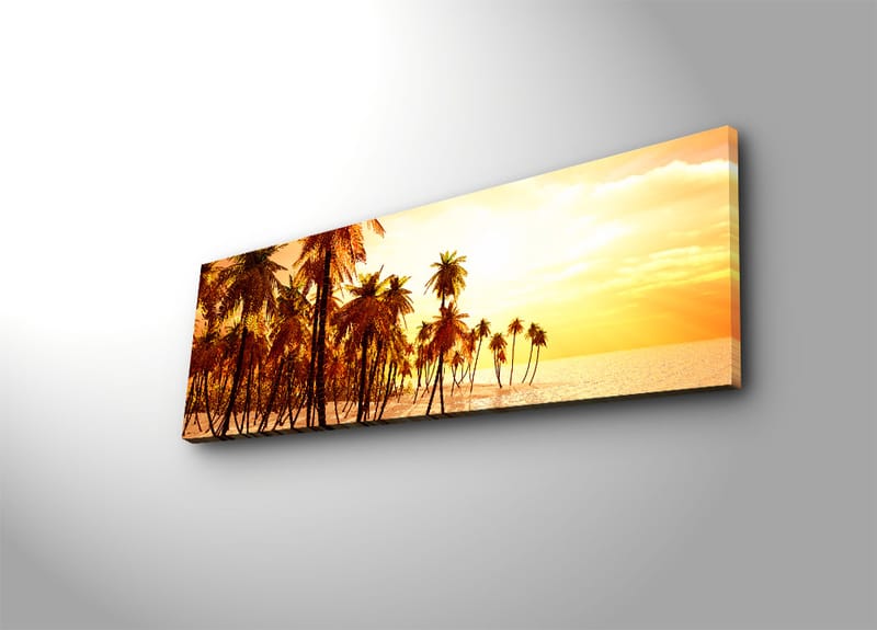 Dekorativ Canvasbillede 30x90 cm - Flerfarvet - Boligtilbehør - Billeder & kunst - Billeder på lærred