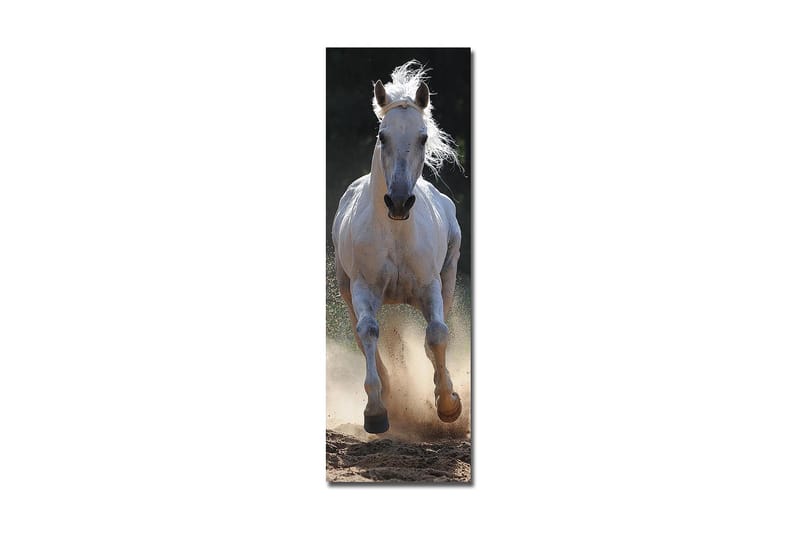Dekorativ Canvasbillede 30x90 cm - Flerfarvet - Boligtilbehør - Billeder & kunst - Billeder på lærred
