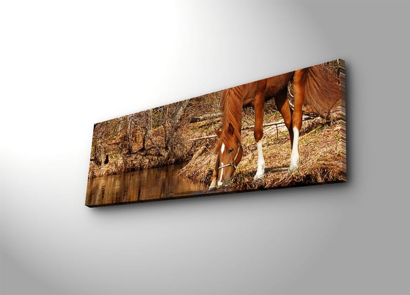 Dekorativ Canvasbillede 30x90 cm - Flerfarvet - Boligtilbehør - Billeder & kunst - Billeder på lærred