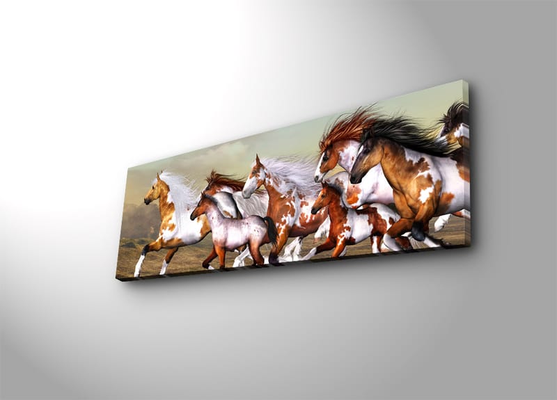 Dekorativ Canvasbillede 30x90 cm - Flerfarvet - Boligtilbehør - Billeder & kunst - Billeder på lærred