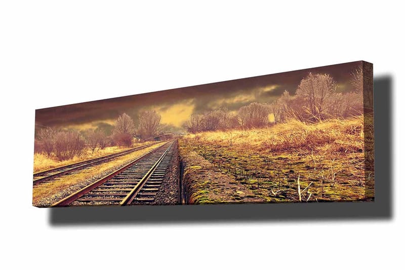 Dekorativ Canvasbillede 30x90 cm - Flerfarvet - Boligtilbehør - Billeder & kunst - Billeder på lærred