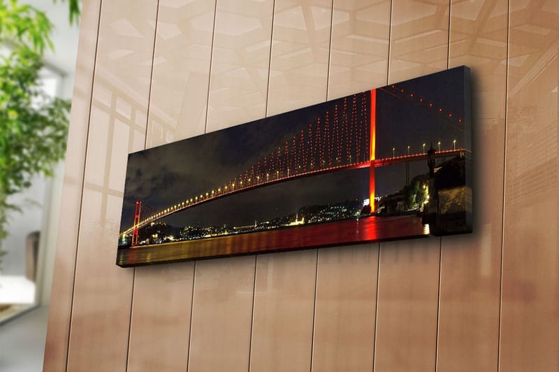 Dekorativ Canvasbillede 30x90 cm - Flerfarvet - Boligtilbehør - Billeder & kunst - Billeder på lærred