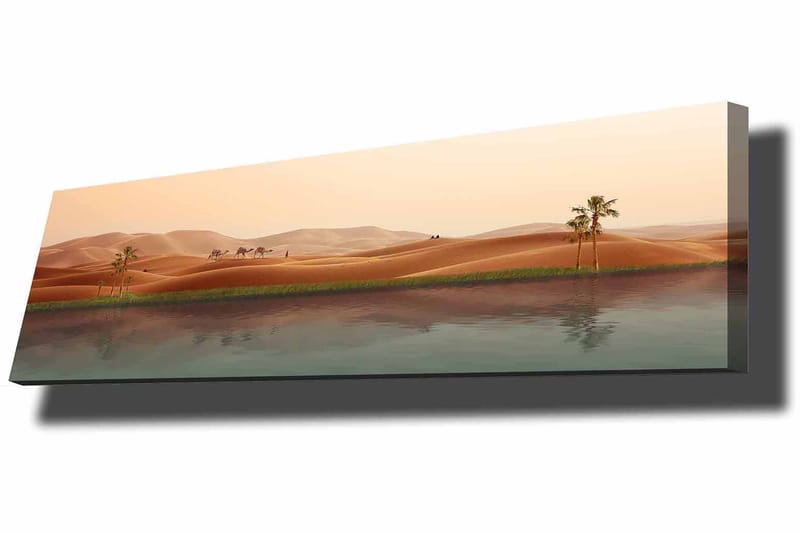 Dekorativ Canvasbillede 30x90 cm - Flerfarvet - Boligtilbehør - Billeder & kunst - Billeder på lærred