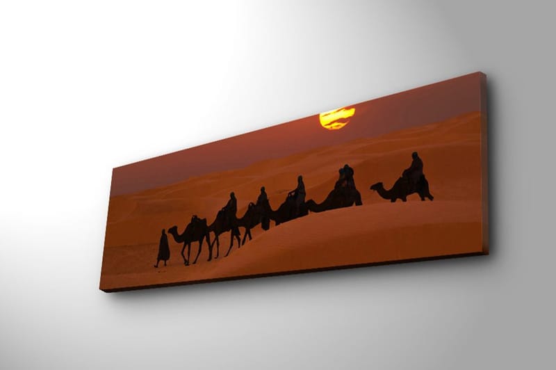 Dekorativ Canvasbillede 30x90 cm - Flerfarvet - Boligtilbehør - Billeder & kunst - Billeder på lærred