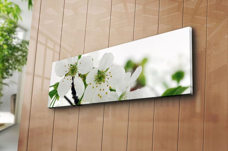 Dekorativ Canvasbillede 30x90 cm - Flerfarvet - Boligtilbehør - Billeder & kunst - Billeder på lærred