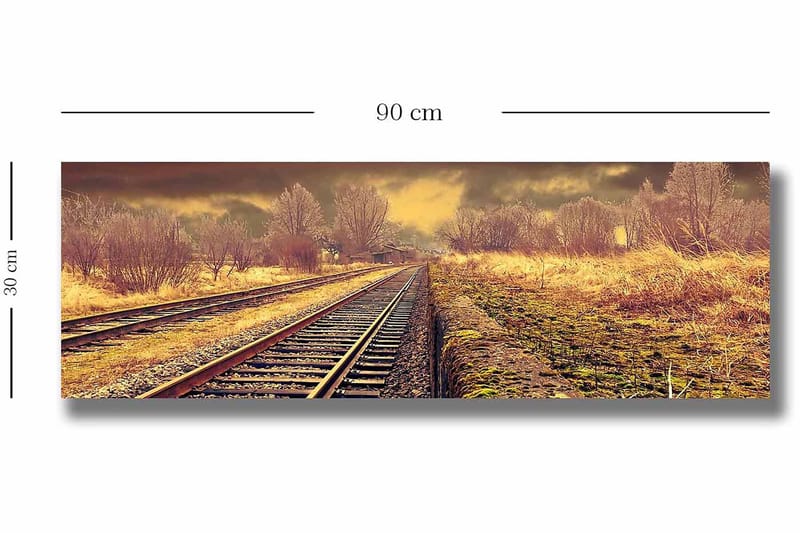 Dekorativ Canvasbillede 30x90 cm - Flerfarvet - Boligtilbehør - Billeder & kunst - Billeder på lærred