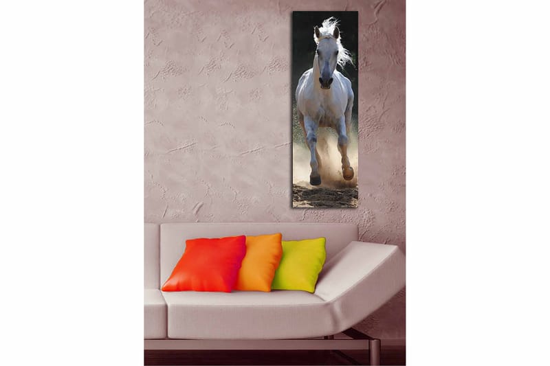 Dekorativ Canvasbillede 30x90 cm - Flerfarvet - Boligtilbehør - Billeder & kunst - Billeder på lærred