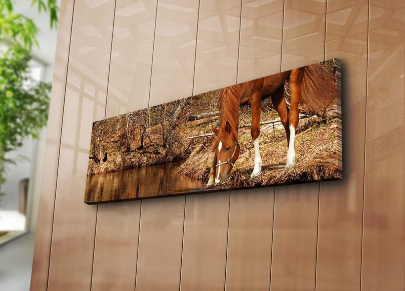 Dekorativ Canvasbillede 30x90 cm - Flerfarvet - Boligtilbehør - Billeder & kunst - Billeder på lærred