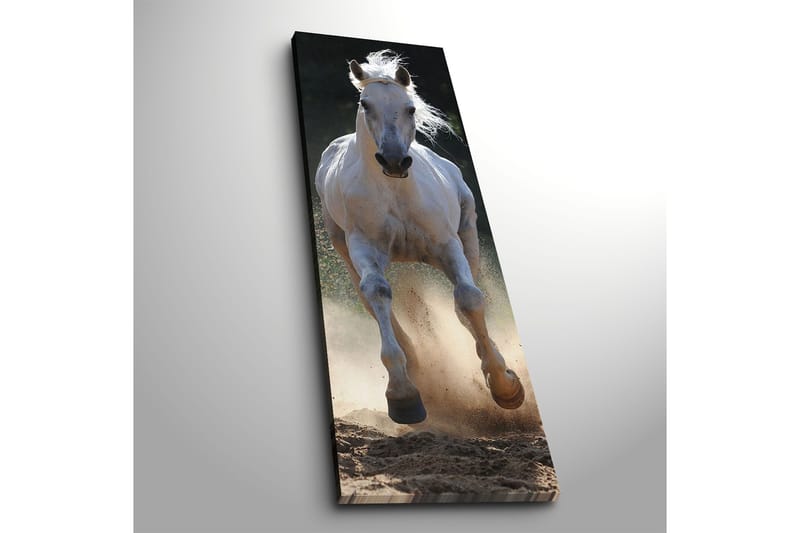 Dekorativ Canvasbillede 30x90 cm - Flerfarvet - Boligtilbehør - Billeder & kunst - Billeder på lærred