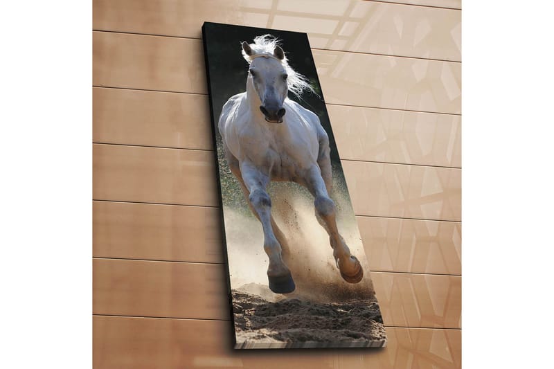 Dekorativ Canvasbillede 30x90 cm - Flerfarvet - Boligtilbehør - Billeder & kunst - Billeder på lærred