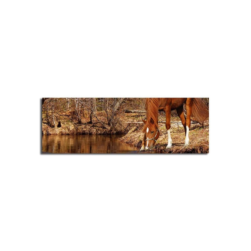 Dekorativ Canvasbillede 30x90 cm - Flerfarvet - Boligtilbehør - Billeder & kunst - Billeder på lærred