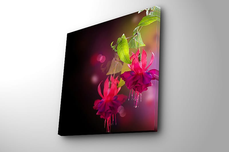 Dekorativ Canvasbillede 45x45 cm - Flerfarvet - Boligtilbehør - Billeder & kunst - Billeder på lærred