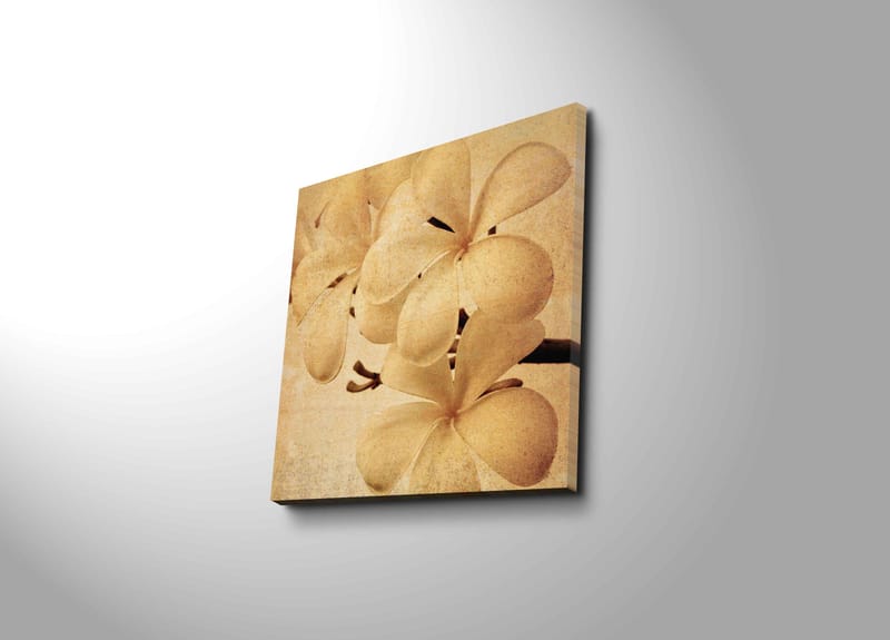 Dekorativ Canvasbillede 45x45 cm - Flerfarvet - Boligtilbehør - Billeder & kunst - Billeder på lærred