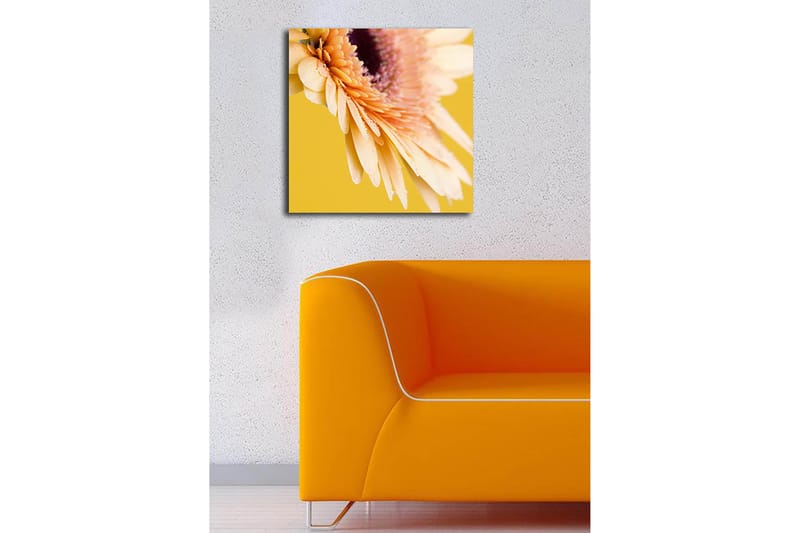 Dekorativ Canvasbillede 45x45 cm - Flerfarvet - Boligtilbehør - Billeder & kunst - Billeder på lærred