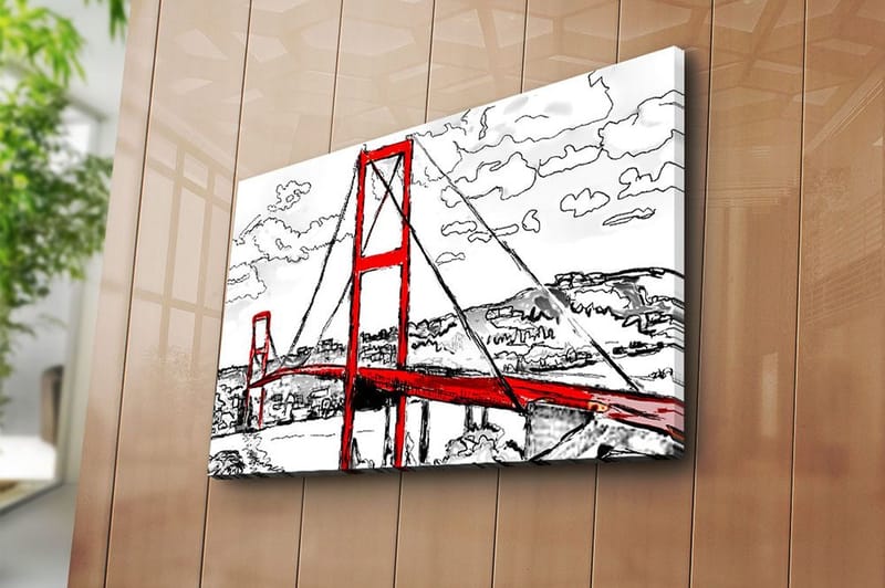 Dekorativ Canvasbillede 45x70 cm - Flerfarvet - Boligtilbehør - Billeder & kunst - Billeder på lærred