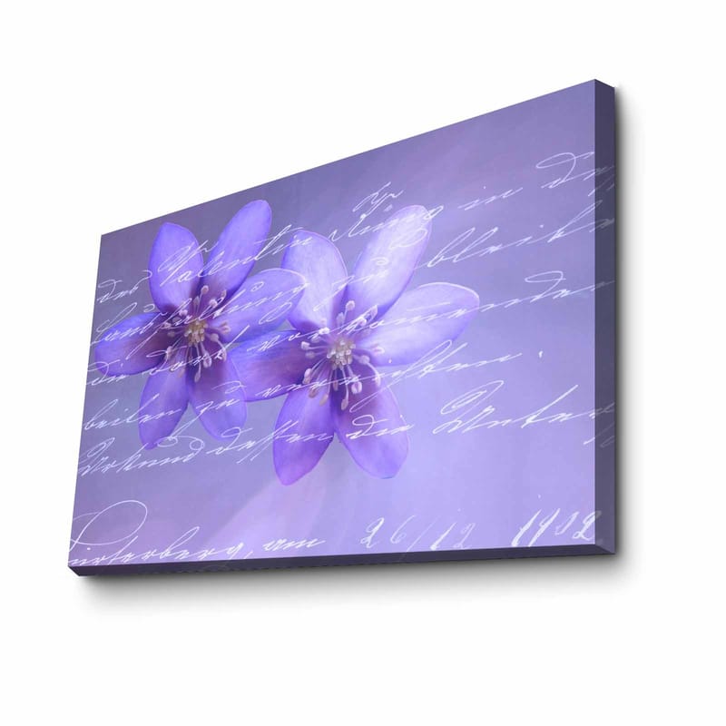 Dekorativ Canvasbillede 45x70 cm - Flerfarvet - Boligtilbehør - Billeder & kunst - Billeder på lærred