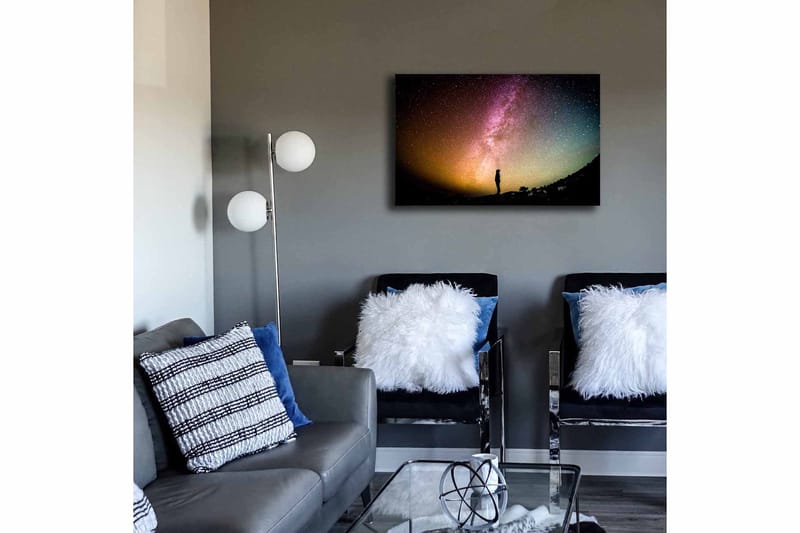 Dekorativ Canvasbillede 45x70 cm - Flerfarvet - Boligtilbehør - Billeder & kunst - Billeder på lærred