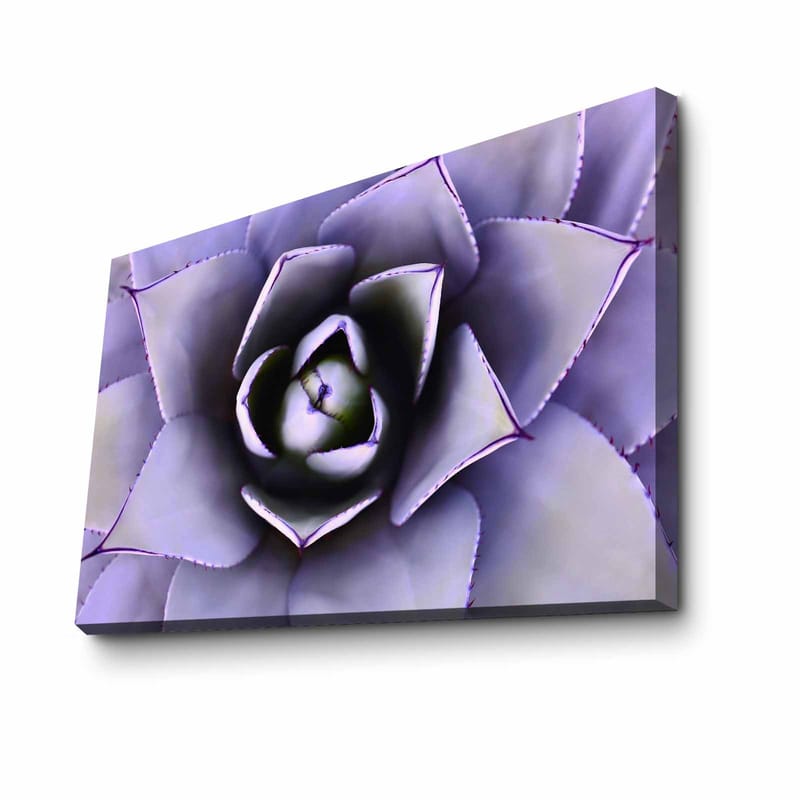 Dekorativ Canvasbillede 45x70 cm - Flerfarvet - Boligtilbehør - Billeder & kunst - Billeder på lærred
