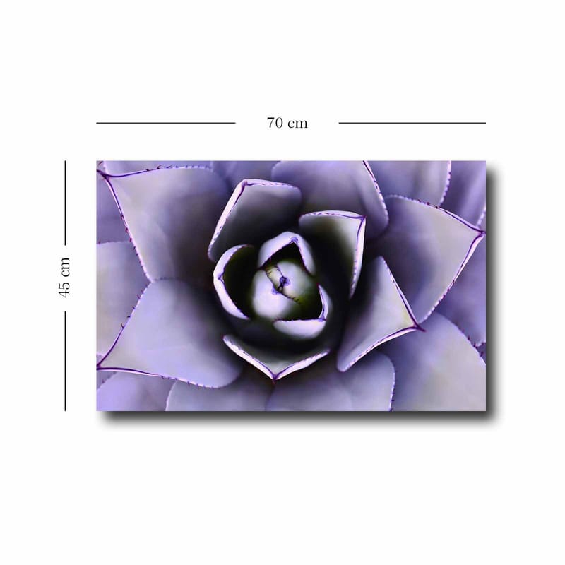 Dekorativ Canvasbillede 45x70 cm - Flerfarvet - Boligtilbehør - Billeder & kunst - Billeder på lærred
