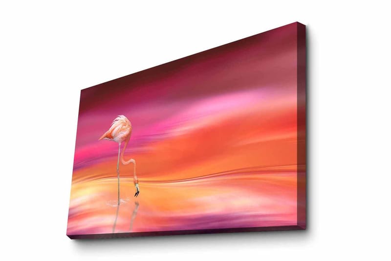 Dekorativ Canvasbillede 45x70 cm - Flerfarvet - Boligtilbehør - Billeder & kunst - Billeder på lærred