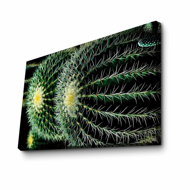 Dekorativ Canvasbillede 45x70 cm - Flerfarvet - Boligtilbehør - Billeder & kunst - Billeder på lærred