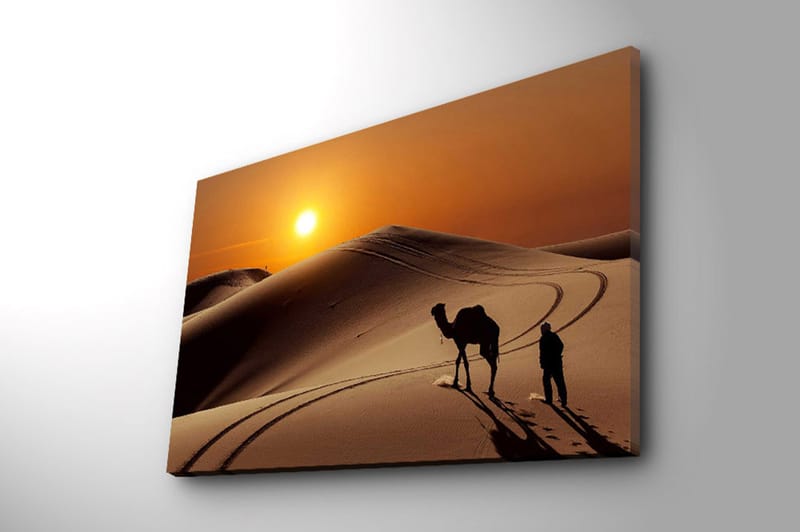 Dekorativ Canvasbillede 45x70 cm - Flerfarvet - Boligtilbehør - Billeder & kunst - Billeder på lærred