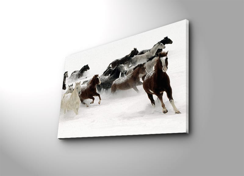 Dekorativ Canvasbillede 45x70 cm - Flerfarvet - Boligtilbehør - Billeder & kunst - Billeder på lærred