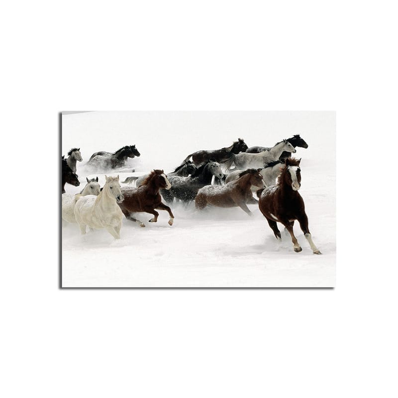Dekorativ Canvasbillede 45x70 cm - Flerfarvet - Boligtilbehør - Billeder & kunst - Billeder på lærred