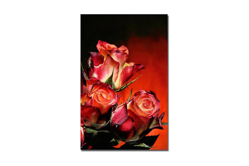 Dekorativ Canvasbillede 45x70 cm - Flerfarvet - Boligtilbehør - Billeder & kunst - Billeder på lærred