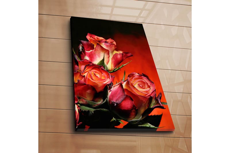 Dekorativ Canvasbillede 45x70 cm - Flerfarvet - Boligtilbehør - Billeder & kunst - Billeder på lærred