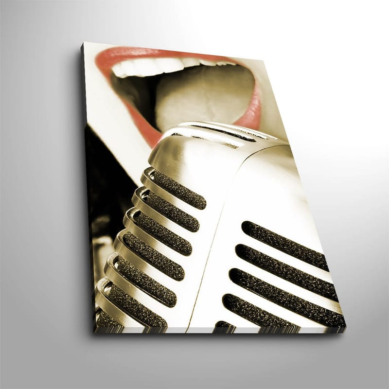 Dekorativ Canvasbillede 45x70 cm, Flerfarvet