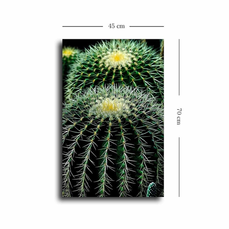 Dekorativ Canvasbillede 45x70 cm - Flerfarvet - Boligtilbehør - Billeder & kunst - Billeder på lærred