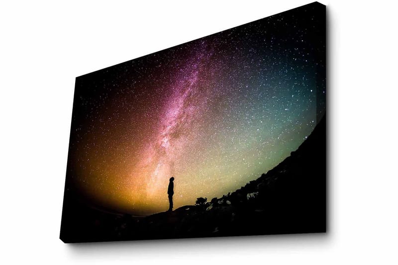 Dekorativ Canvasbillede 45x70 cm - Flerfarvet - Boligtilbehør - Billeder & kunst - Billeder på lærred