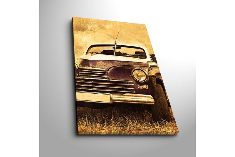 Dekorativ Canvasbillede 45x70 cm - Flerfarvet - Boligtilbehør - Billeder & kunst - Billeder på lærred