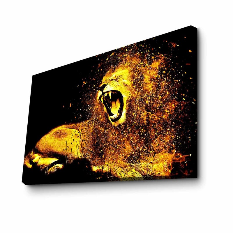 Dekorativ Canvasbillede 45x70 cm, Flerfarvet